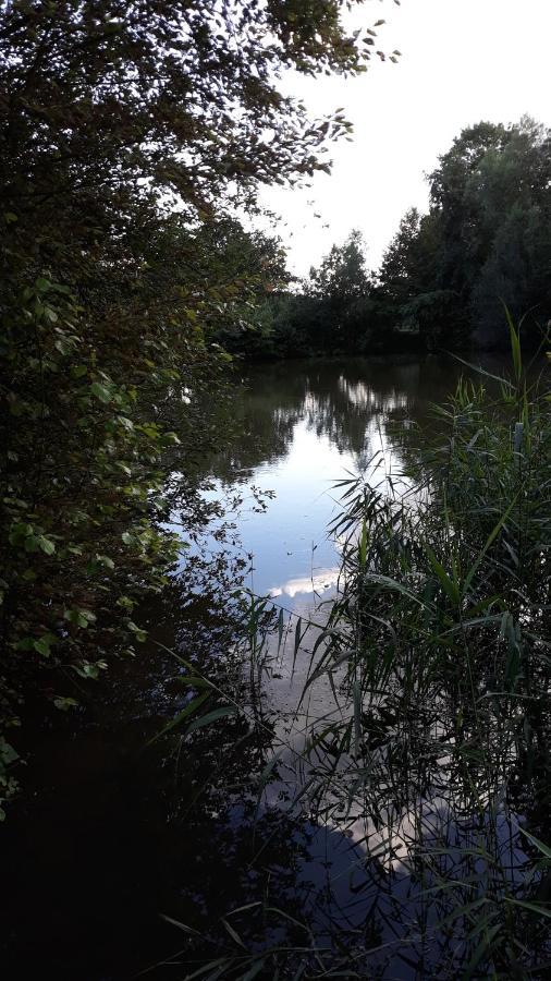 Ferienwohnung Am Kleinen Stadtpark لانغنزلبولد المظهر الخارجي الصورة